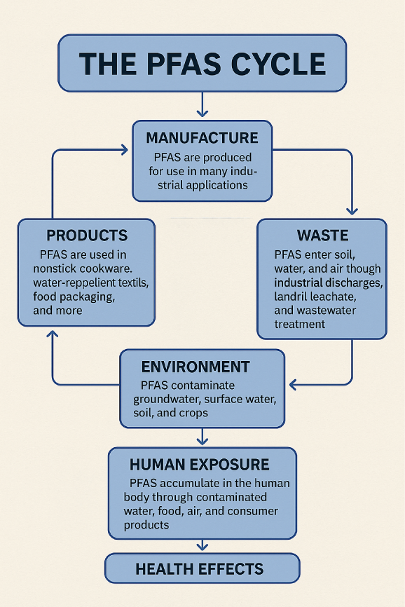 The PFAS Cycle